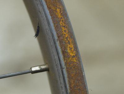 File:Rusty-braking-surface.jpg