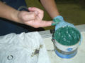 Thumbnail for version as of 18:41, 13 January 2007