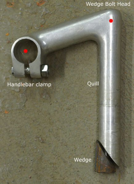 File:Quillstem.jpg